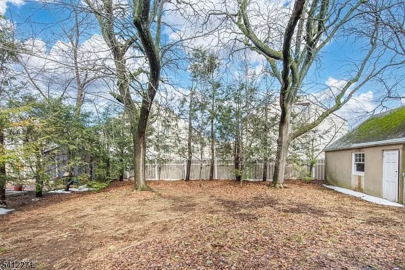 Backyard before — bare trees, leaf-covered ground, typical New Jersey suburban lot